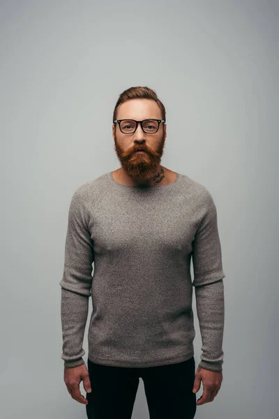 bearded and tattooed man in long sleeve and eyeglasses looking at camera isolated on grey
