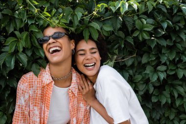 happy african american lesbian women laughing near green bush in park  clipart