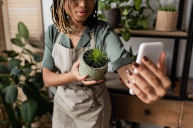Online akıllı telefon siparişi sırasında saksı bitkisini gösteren bulanık Afro-Amerikan çiçekçi görüntüsü.