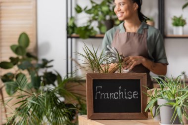 selective focus of board with franchise lettering near green plants and african american florist smiling on blurred background clipart