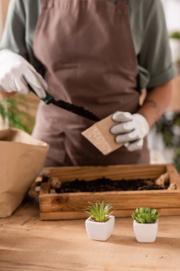 partial view of african american florist in work gloves filling flowerpot with soil near small plants on wooden table clipart