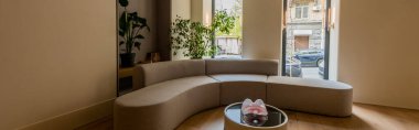 modern sofa and coffee table near green plants in luxury hotel, banner 