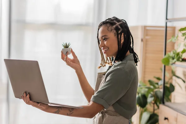 Happy African American Florist Dreadlocks Showing Small Potted Plant Video — Stock Photo, Image