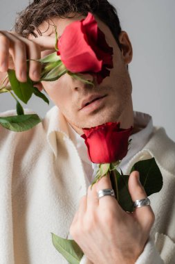 stylish man in white jacket and silver finger rings obscuring face with red roses isolated on grey