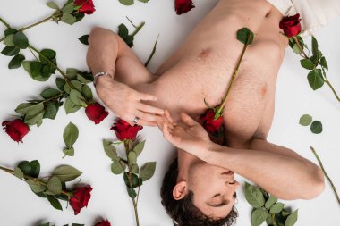 top view of sexy man with shirtless torso and closed eyes lying near red roses on white background