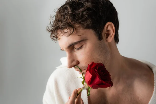 stock image brunette man in white jacket holding red rose near face while posing with closed eyes isolated on grey