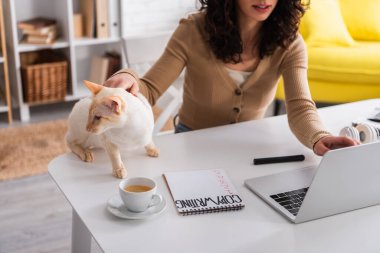 Cropped view of copywriter using laptop near oriental cat at home 