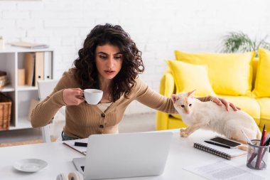 Focused copywriter holding cup of coffee near oriental cat and laptop at home 