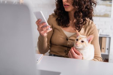 Cropped view of brunette freelancer using smartphone and holding oriental cat near blurred laptop at home  clipart