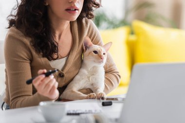 Cropped view of copywriter holding oriental cat and marker near laptop at home 