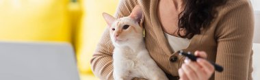 Cropped view of woman holding marker and oriental cat near laptop at home, banner 