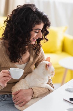 Neşeli esmer kadın doğu kedisine bakıyor ve elinde bir fincan kahve tutuyor. 