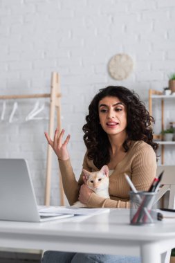 Copywriter holding oriental cat and having video call on laptop at home 