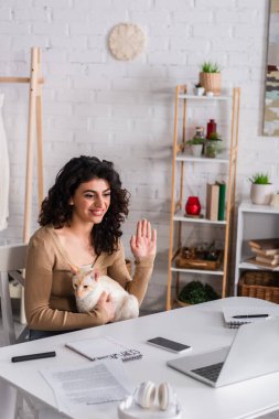 Smiling copywriter holding oriental cat and having video call on laptop 