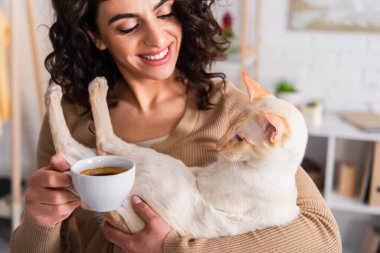 Smiling woman holding cup of coffee and oriental cat at home 