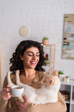 Cheerful brunette woman holding oriental cat and cup of coffee in living room 