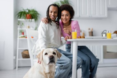Blurred african american couple looking at labrador dog in kitchen 