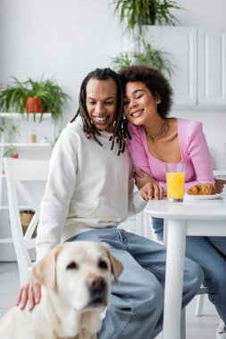 Smiling african american couple sitting near breakfast and blurred labrador in kitchen