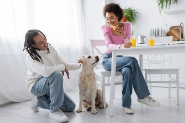 Smiling african american woman holding croissant and looking at boyfriend and labrador at home
