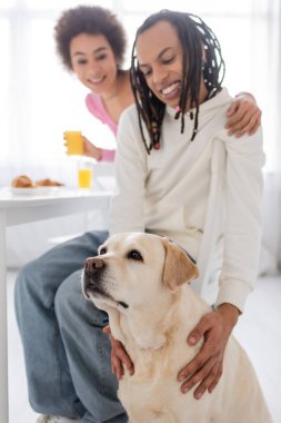 Labrador sitting near blurred african american couple with breakfast in kitchen 