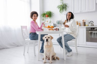 Smiling african american couple holding coffee near labrador in kitchen 