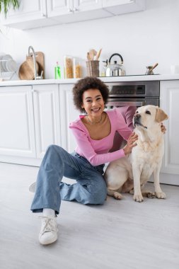 Positive african american woman looking at camera while petting labrador in kitchen 