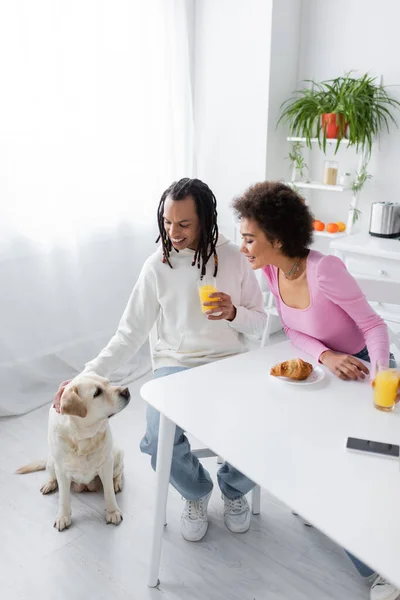 stock image Smiling african american couple looking at labrador near breakfast and smartphone in kitchen 