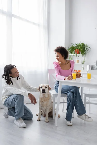 stock image African american couple talking near labrador during breakfast in kitchen 