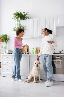Positive african american couple with plates and brush talking near labrador in kitchen 