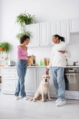 Positive african american couple with plates and brush talking near labrador in kitchen  clipart
