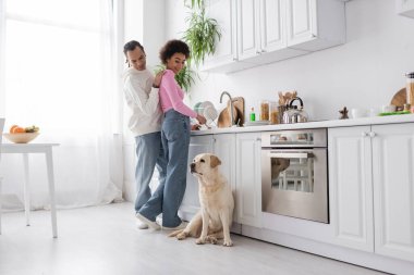 Positive african american couple washing plates and looking at labrador dog in kitchen 