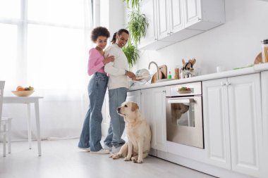 Positive african american couple washing plates near labrador in kitchen 