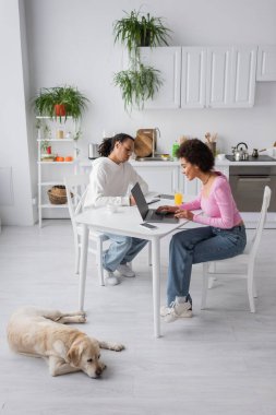 Smiling african american woman using laptop near boyfriend and labrador in kitchen 