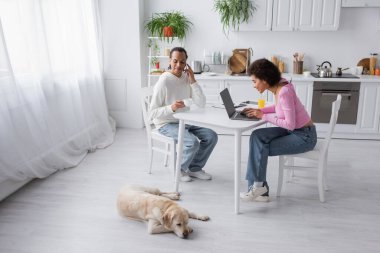 African american couple using laptop near drinks and labrador in kitchen 