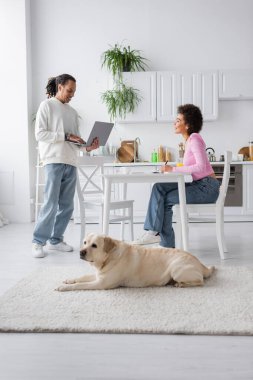 Smiling african american freelancers working near labrador in kitchen 