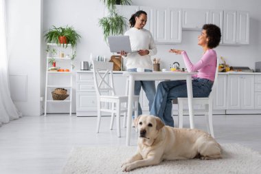 Cheerful african american couple with laptop talking near labrador in kitchen 