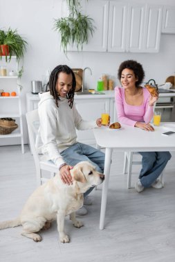 African american couple looking at labrador near cellphone and breakfast at home 
