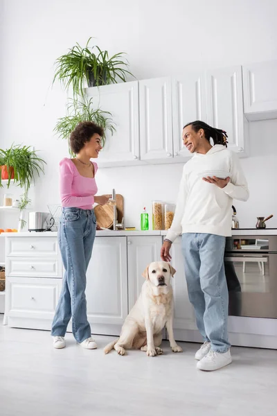 stock image Positive african american couple with plates and brush talking near labrador in kitchen 