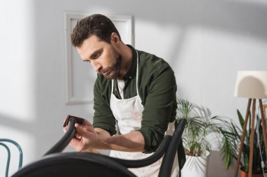 Bearded restorer in apron working with chair and sandpaper in workshop 
