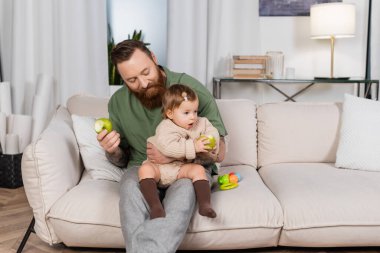 Bearded father holding apple near baby daughter on couch at home 