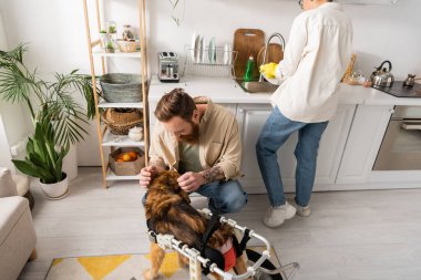 Dövmeli adam özürlü köpeği evdeki Afro-Amerikan kadın temizlikçisinin yanında okşuyor. 