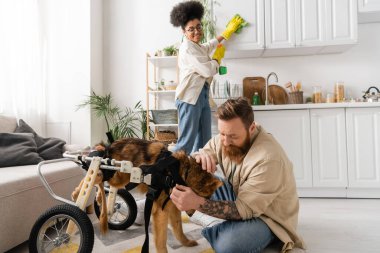 Dövmeli adam tekerlekli sandalyede sakat köpeği okşuyor. Evdeki Afro-Amerikan kız arkadaşının temizlik yaptığı yerin yakınında. 