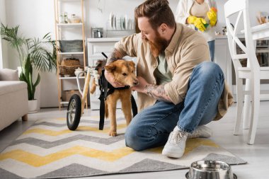 Sakallı adam tekerlekli sandalyede sakat köpeği evdeki kasenin yanında okşuyor. 
