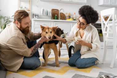 Mutfakta engelli köpekleri beslerken mutlu ve çok ırklı bir çift gülümsüyor. 