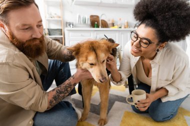 Evde tekerlekli sandalyeli, kahve içen engelli köpekli, çok ırklı bir çift. 