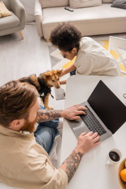 Afro-Amerikan kadının evde dizüstü bilgisayarı olan, engelli köpeği, erkek arkadaşının yanında okşamasının genel görünümü. 