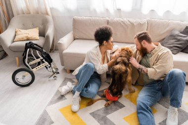 Oturma odasında tekerlekli sandalyenin yanında sakat köpekleri okşayan çok ırklı çiftin yan görüntüsü 