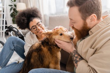 Sakallı adam, sakat köpeği, neşeli Afro-Amerikan kız arkadaşının yanına yerleştiriyor. 
