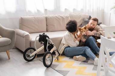 Çok ırklı bir çift oturma odasında tekerlekli sandalyenin yanında sakat köpekleri okşuyor. 