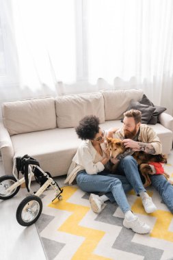 Evde tekerlekli sandalyenin yanında engelli köpeği tutan ırklar arası bir çift var.